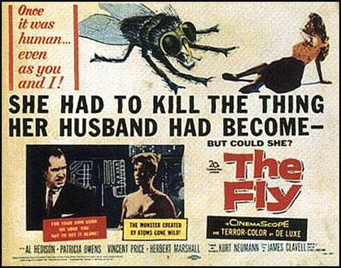 Buy The Fly